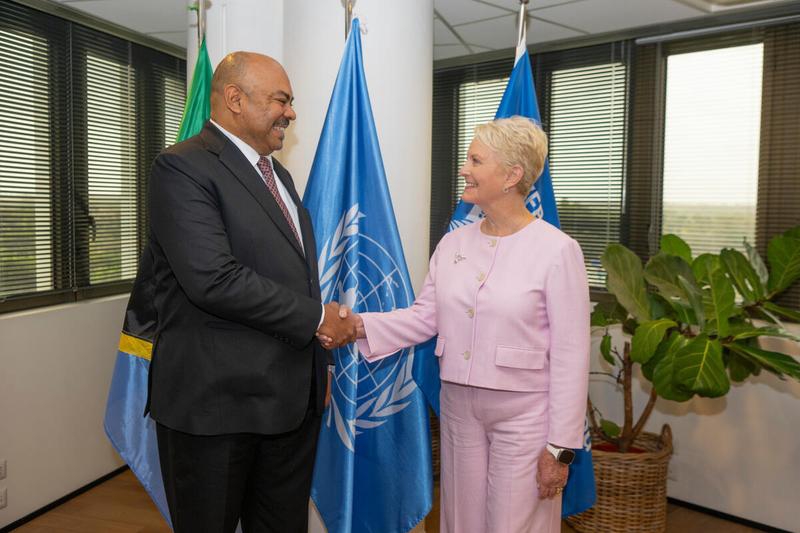 WORLD FOOD PROGRAMME EXECUTIVE DIRECTOR CINDY MCCAIN ANNOUNCES PLANS TO STEP DOWN TO FOCUS ON HER HEALTH
